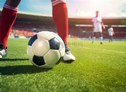 历史最辉煌,王朝揭晓,凯尔特人领,必赢电子官方入口,必赢电子入口,必赢电子共享联赛,必赢电子官方网站,必赢电子官方网站